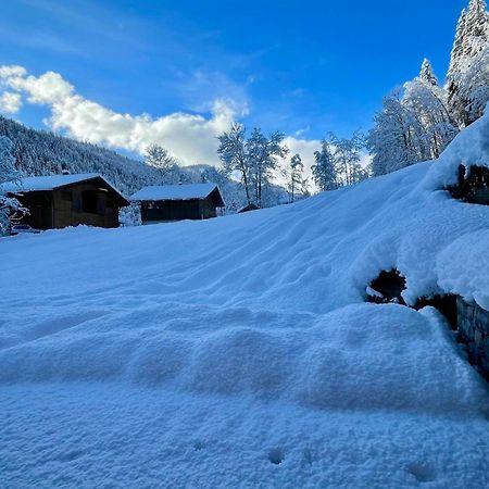 Chalet Birdie Le Grand-Bornand Εξωτερικό φωτογραφία