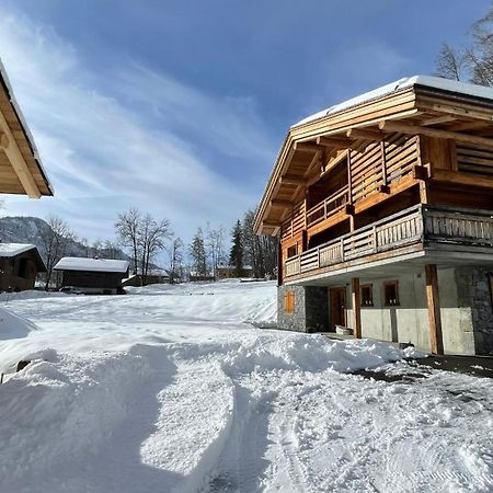 Chalet Birdie Le Grand-Bornand Εξωτερικό φωτογραφία