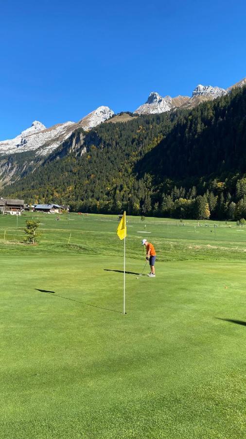 Chalet Birdie Le Grand-Bornand Εξωτερικό φωτογραφία