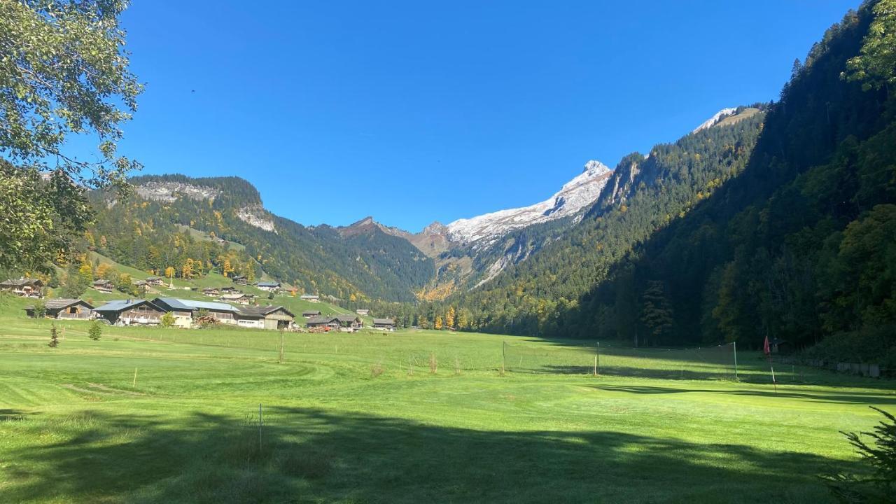 Chalet Birdie Le Grand-Bornand Εξωτερικό φωτογραφία