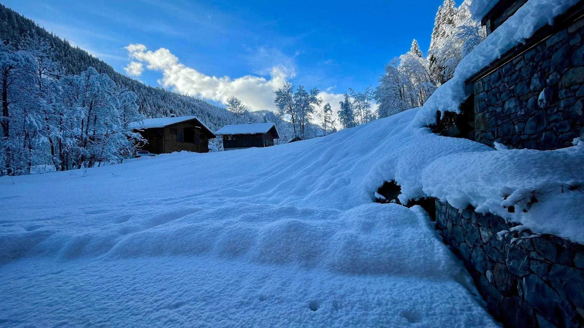 Chalet Birdie Le Grand-Bornand Εξωτερικό φωτογραφία